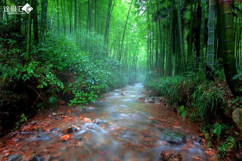 消除彩色点