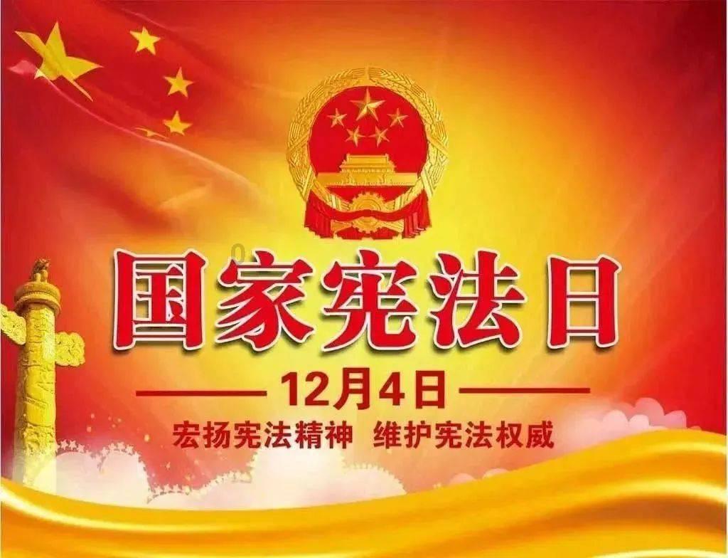 救援卷耳兔