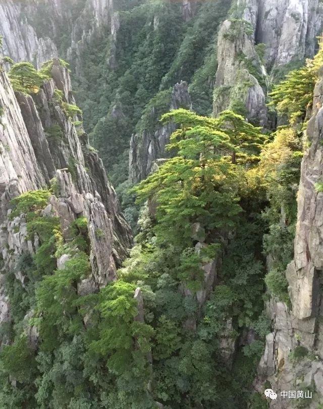 缤纷糖果消消乐