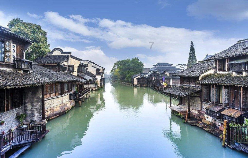 救援可爱小松鼠