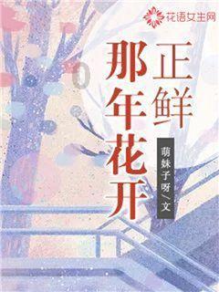 美丽的夜晚