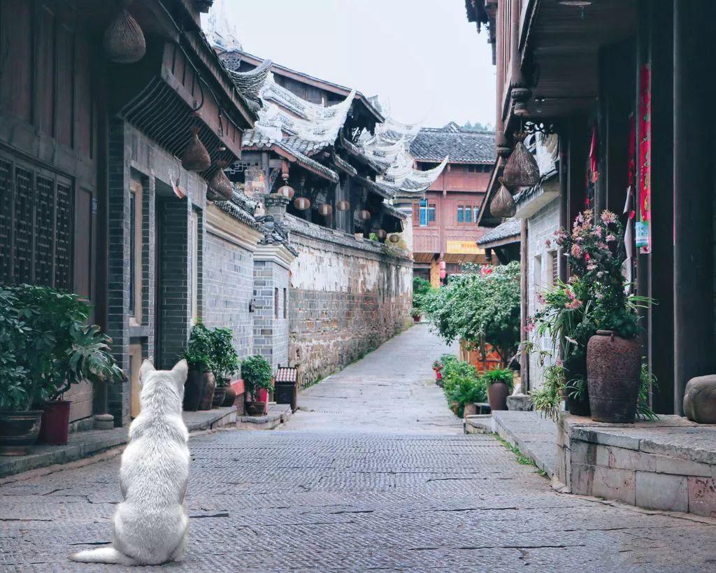 你知道重男轻女的下场嘛？游戏画面